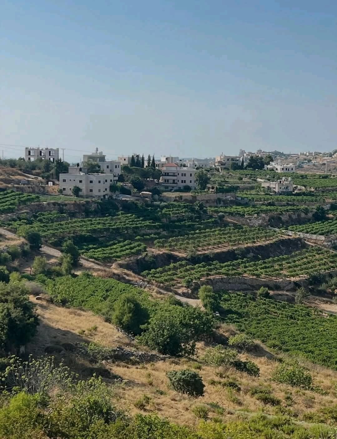 الخليل | موسوعة القرى الفلسطينية